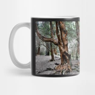 Argentine - San Carlos de Bariloche - Les arrayanes Mug